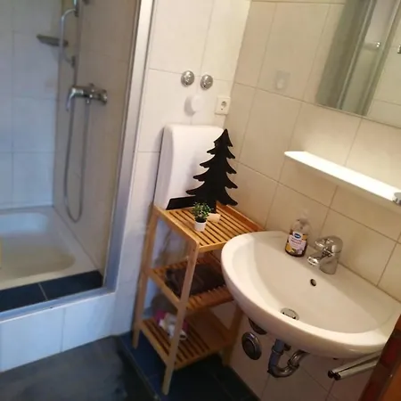 Waldrausch Baiersbronn