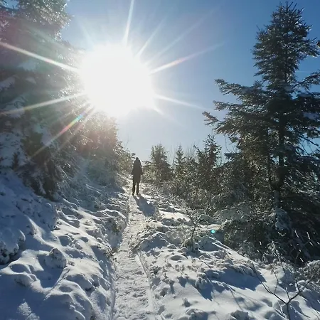 Waldrausch דירה באיירסברון