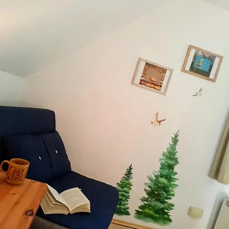 Appartement Waldrausch Baiersbronn