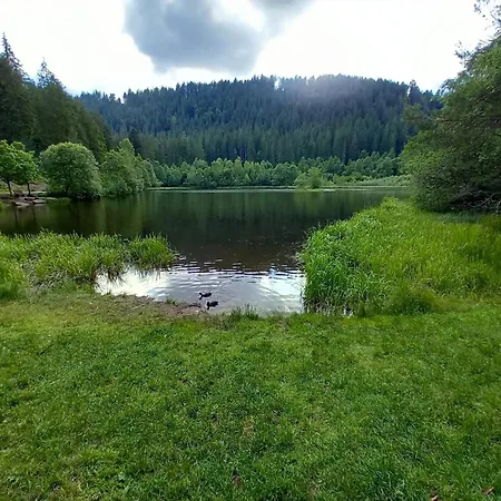 Waldrausch Baiersbronn