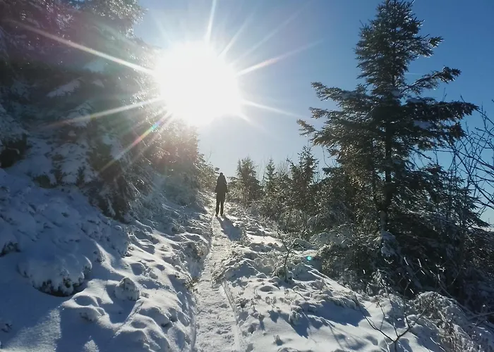 Waldrausch דירה באיירסברון