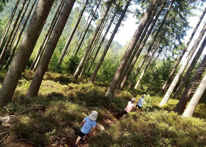 Waldrausch * באיירסברון